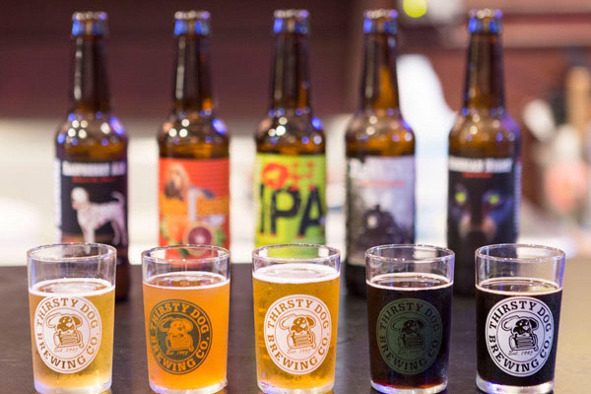 Beer Guide: Thirsty Dog Brewing Co.