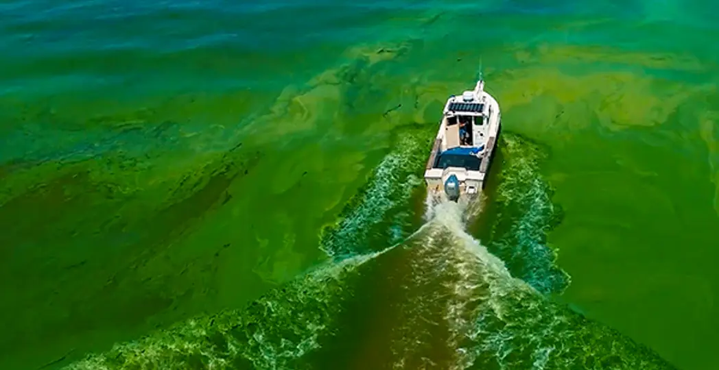 Courtesy Cleveland International Film Festival