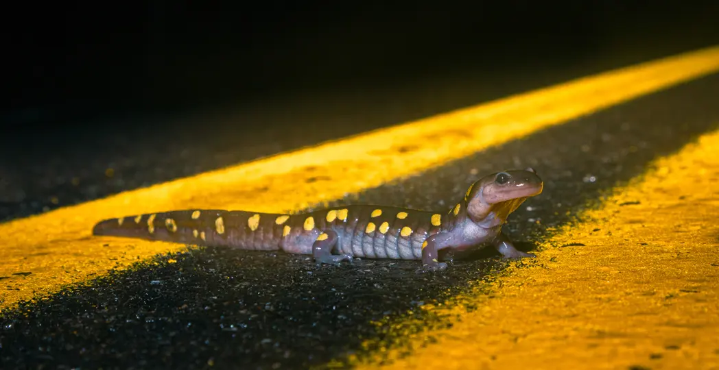 Photographed by Gabe Leidy