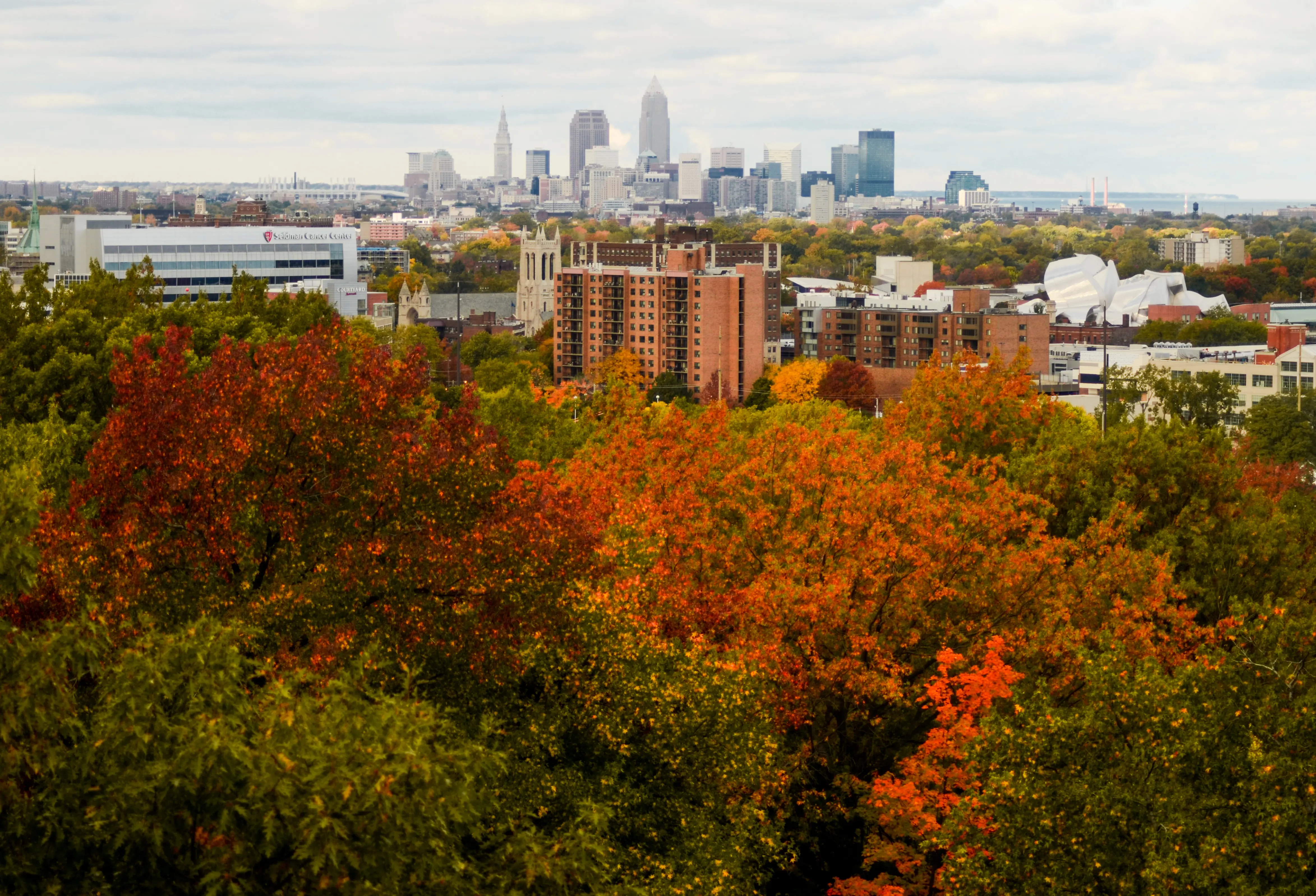 Where to Catch the Best Fall Colors: A Leaf Peeping Guide to Cleveland and Beyond