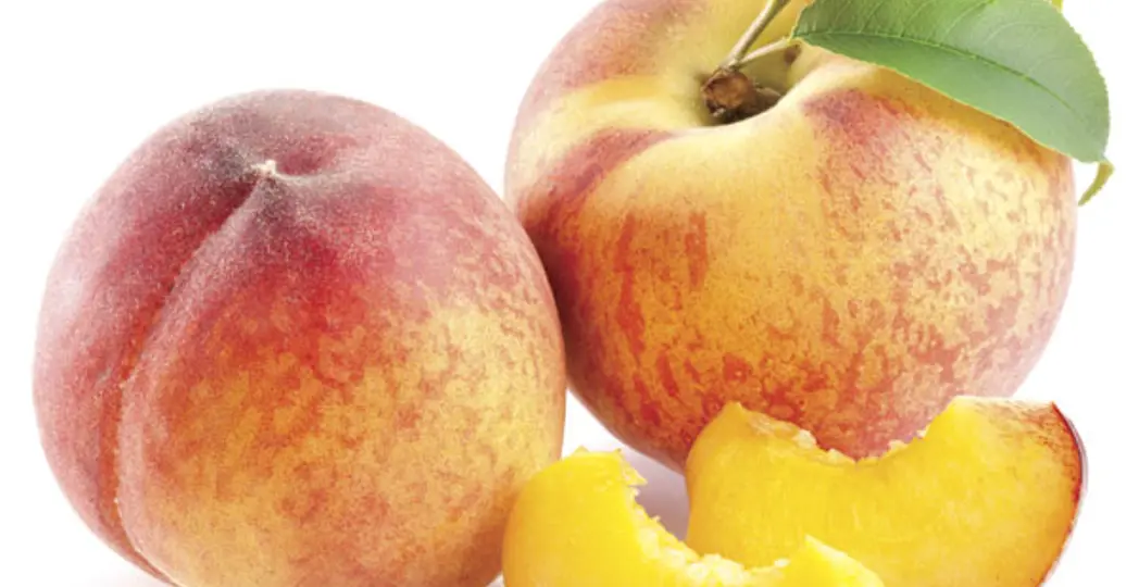 Evan Prunty, Kayla Todd