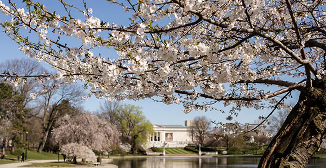 Courtesy University Circle