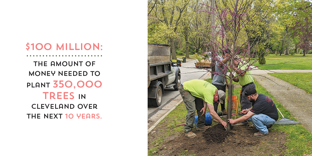 Cleveland’s Plan To Grow Its Tree Canopy