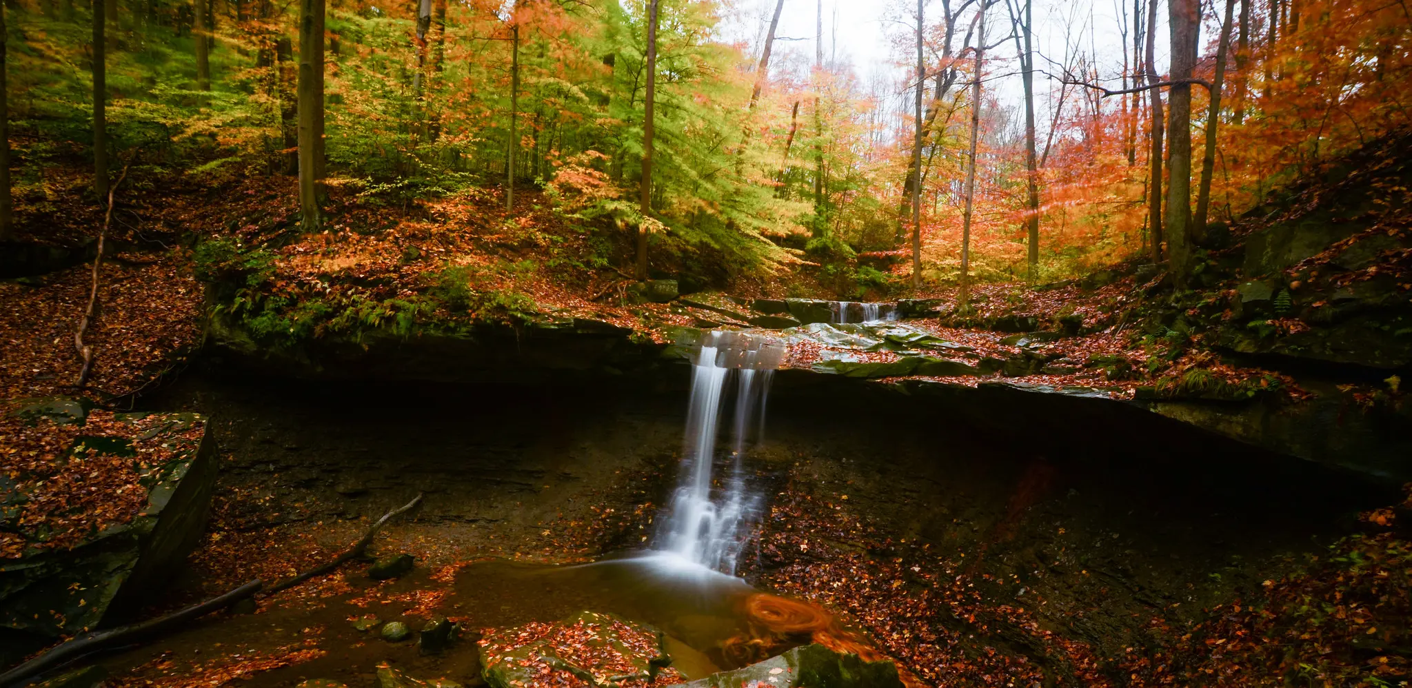 Fall Color Season Is Almost Here: CLE Daily