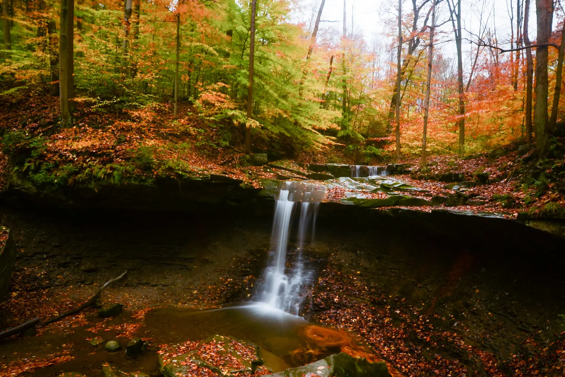 Fall foliage Cleveland Northeast Ohio 