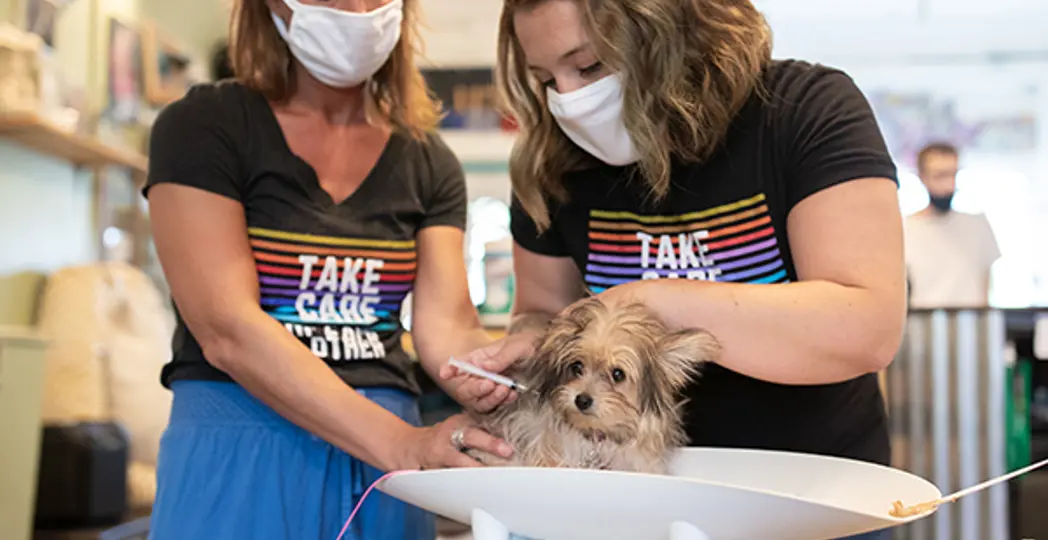 Courtesy Neighborhood Pets