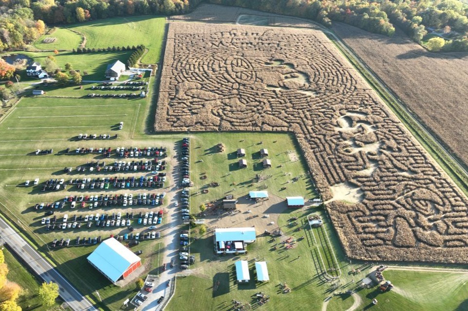 Maze Craze.JPG (1)