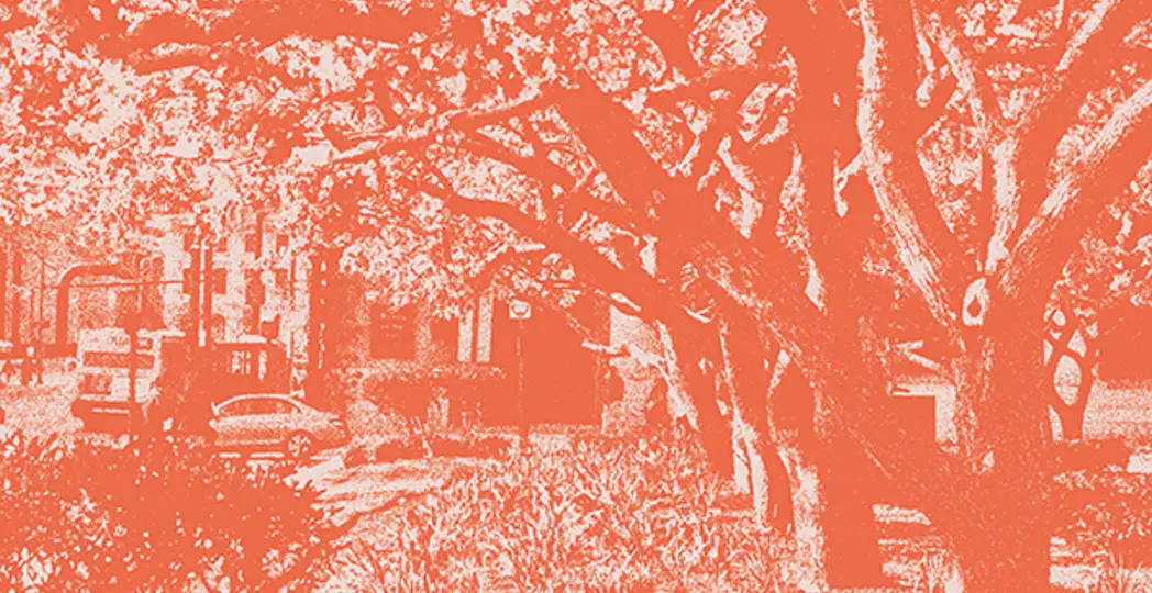 Original Photo by Chris Gent