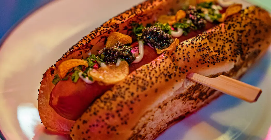 Courtesy Never Say Dive