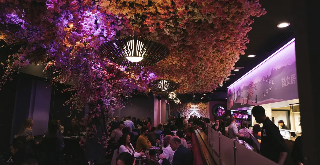 SORA // PHOTOGRAPHED BY KEVIN INTHAVONG 