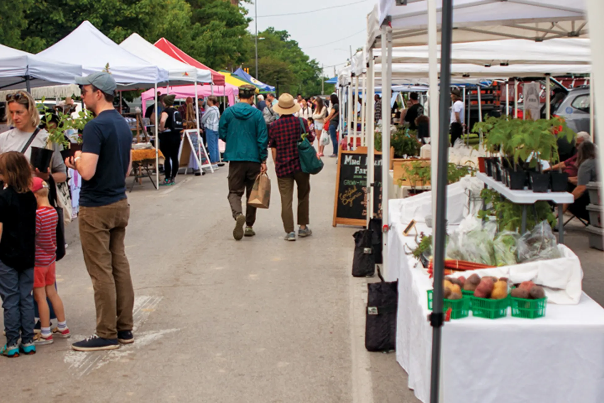 A busy farmers market