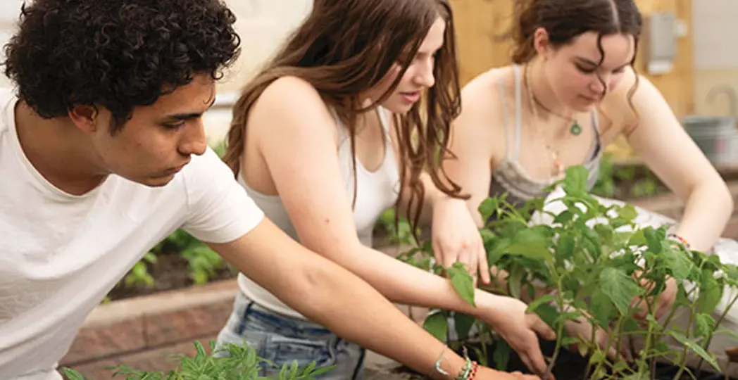 Alessandra Minotti, Courtesy Alex Baird, Mock Tuna, Courtesy Molly Keane, Courtesy Anna Maurer