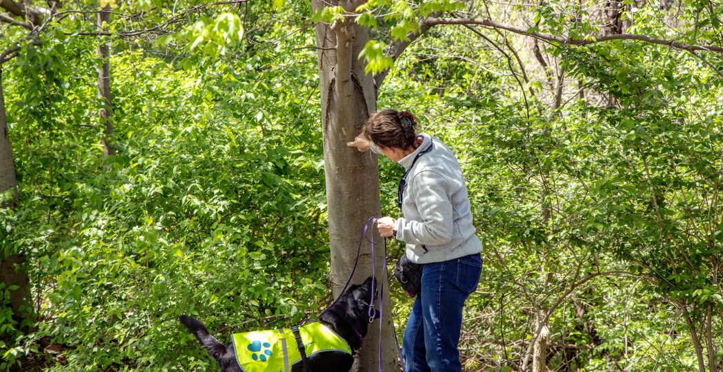 Courtesy Cleveland Metroparks