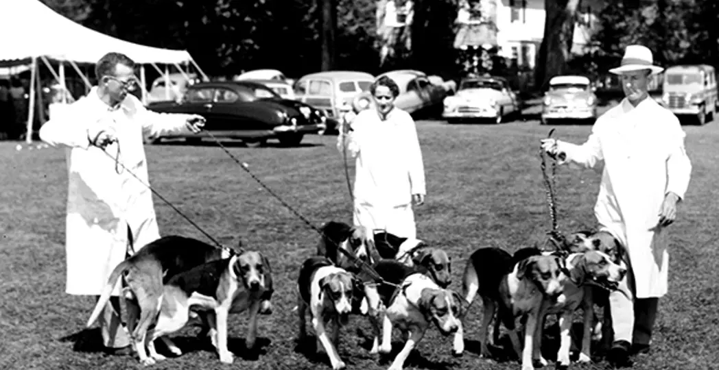 Courtesy Cleveland State University, Michael Schwartz Library Special Collections