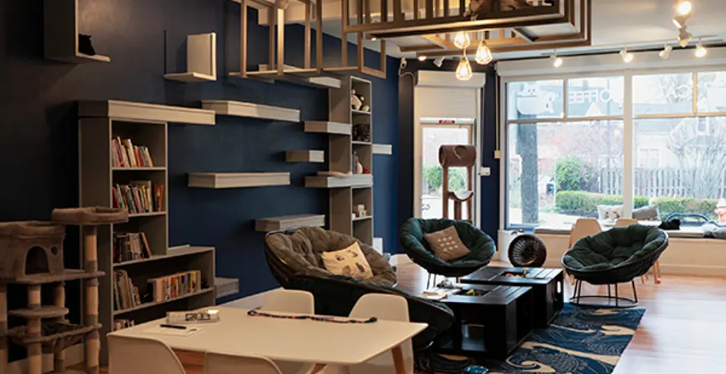 Tessa Poulain, Elisa Valensky