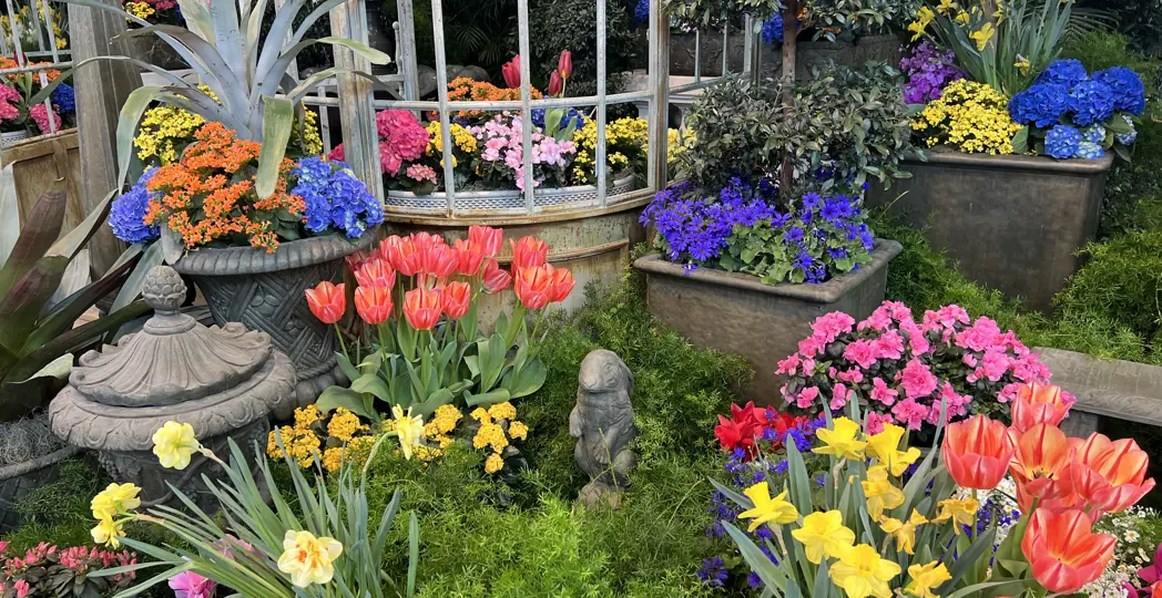 PHOTO COURTESY JENNIFER HICKIN