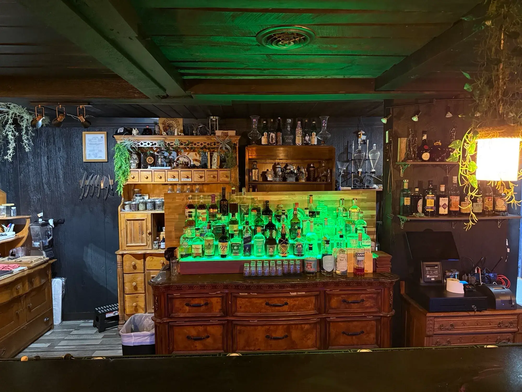 Witch Doctor, a Botanically Themed Cocktail Lounge, Opens in Old Brooklyn in September.    Photographed by Doug Trattner