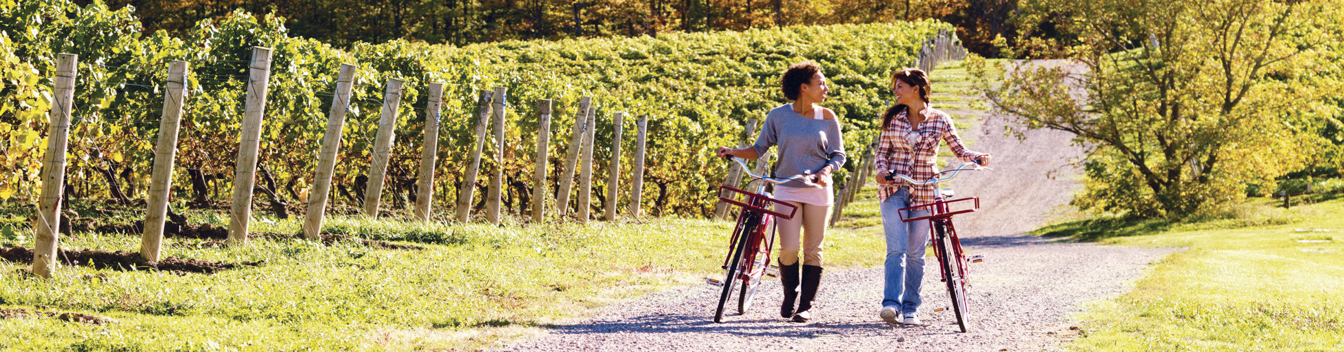 Bicycling at Niagara-on-the-Lake in Ontario, Canada (photo courtesy of Zoom Leisure Bikes) Bicycling at Niagara-on-the-Lake in Ontario, Canada (photo courtesy of Zoom Leisure Bikes)