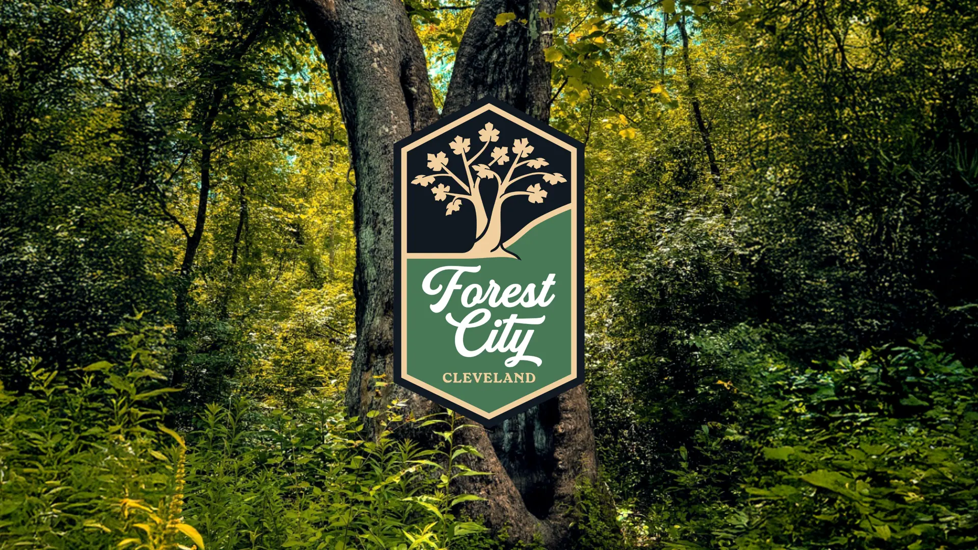 Forest City Cleveland Logo