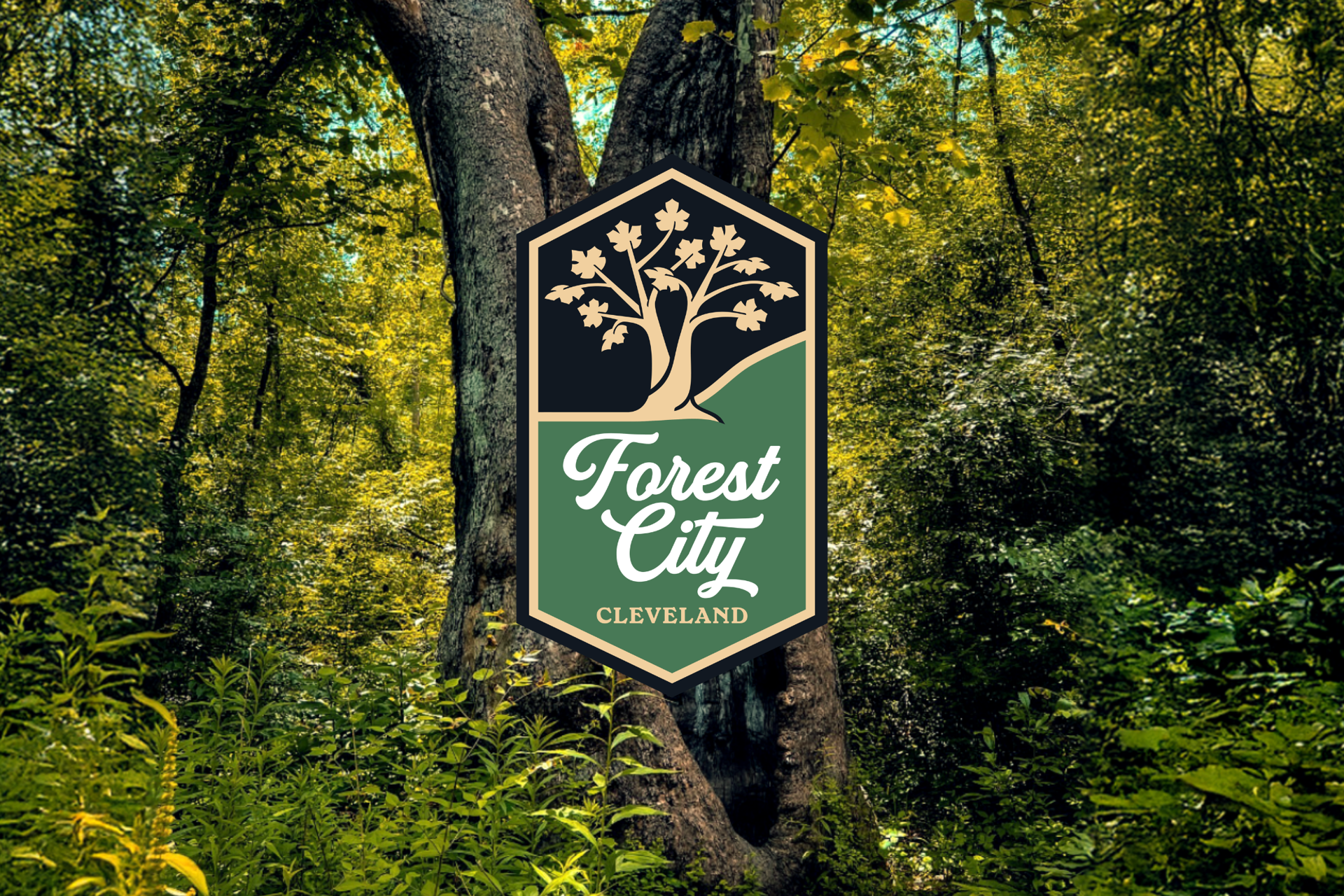 Cleveland Soccer Group Goes Back to the Future: Meet Forest City Cleveland