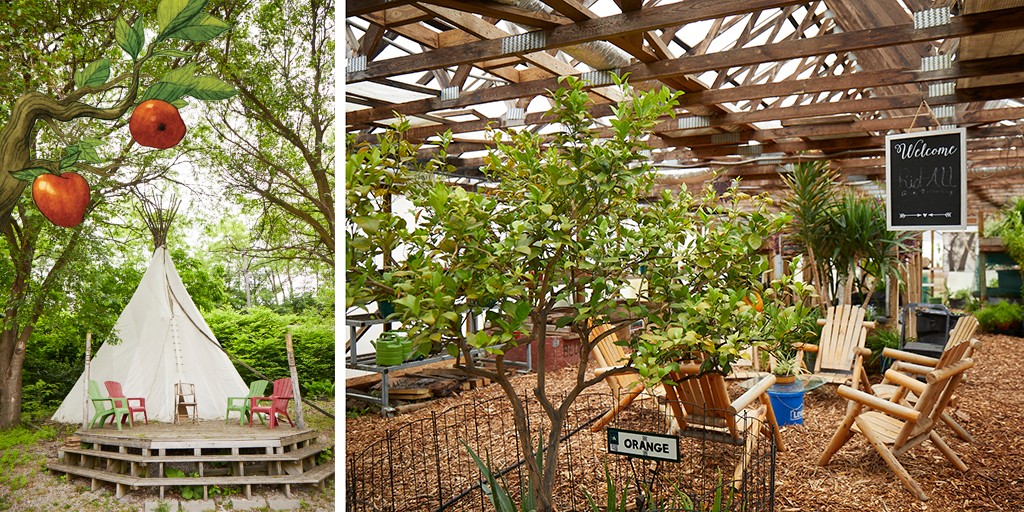 Interior of a greenhouse