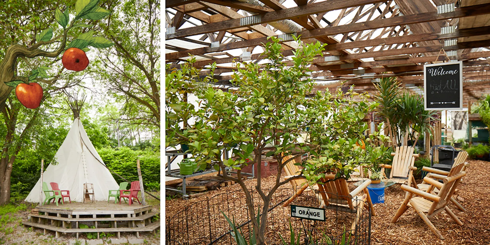 Interior of a greenhouse