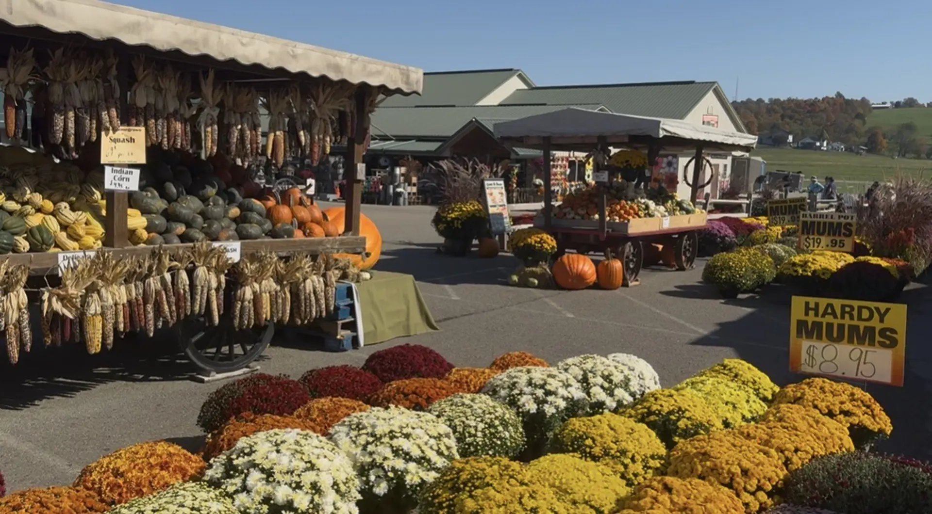 farm market