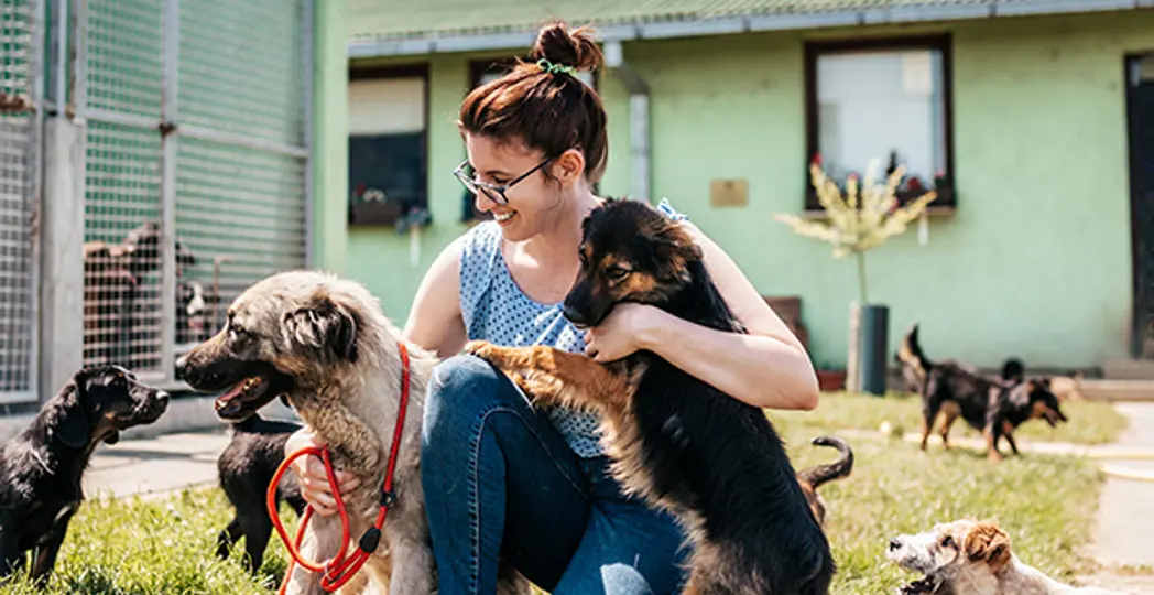 iStock Photo, Courtesy Cleveland Animal Protective League