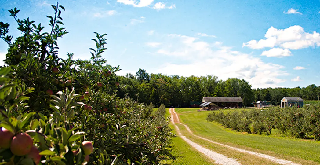 Courtesy Patterson Fruit Farm, Elisa Valensky