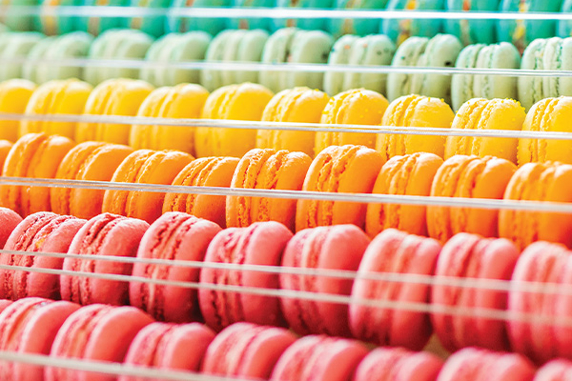 Kelsey Elizabeth Cakes Closes Saturday in Avon Lake, but a Bay Village Location Is on the Way