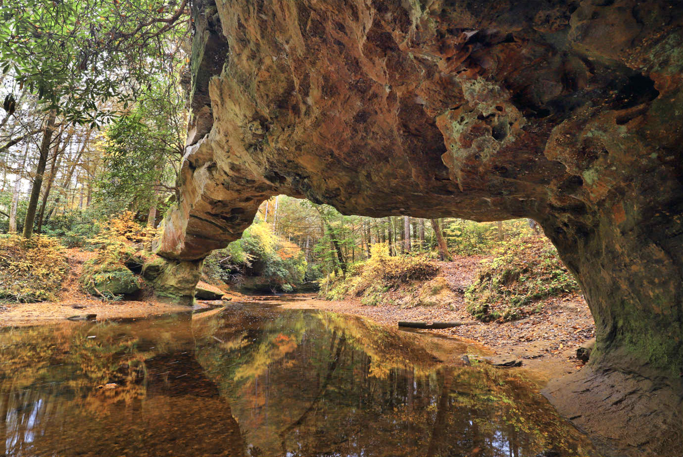 Red River Gorge Geological Area (photo by Bill Fultz)