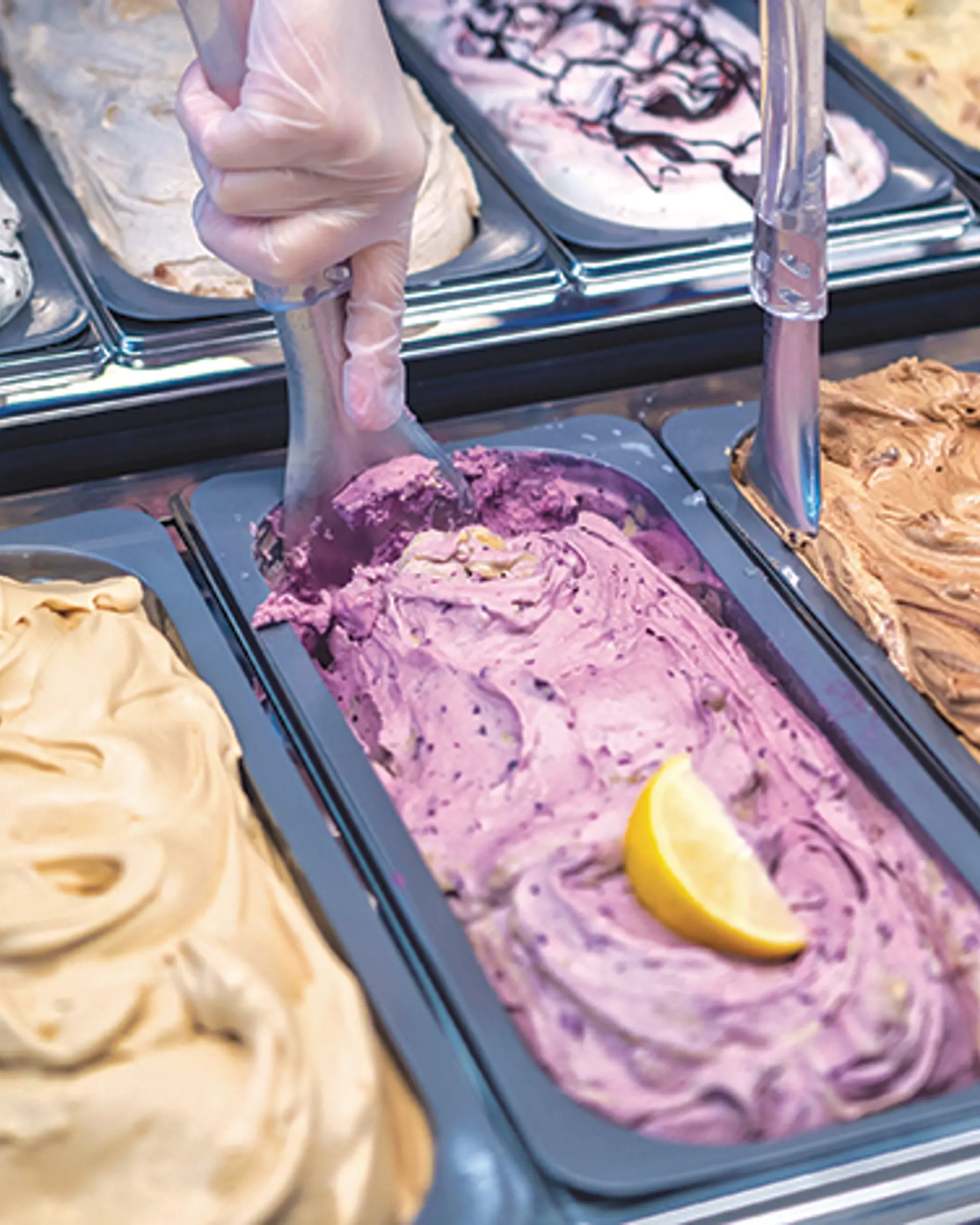 Little Mountain Creamery  