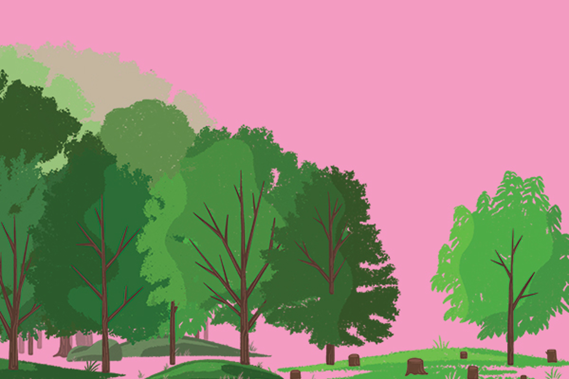 Cleveland's Plan to Grow Its Tree Canopy