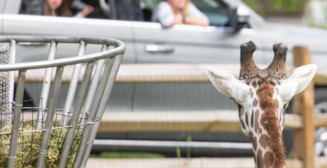 Kyle Lanzer, Cleveland Metroparks