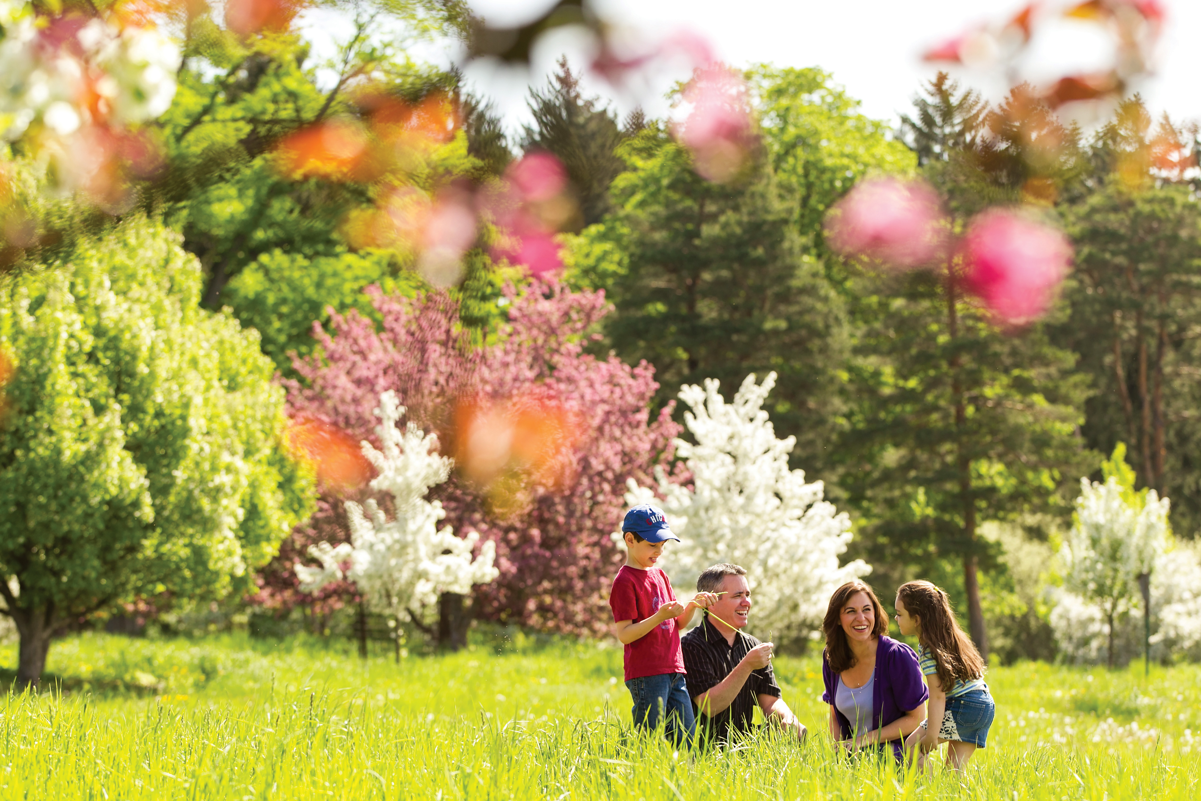 The Morton Arboretum in Lisle, Illinois (photo by Michael Hudson) The Morton Arboretum in Lisle, Illinois (photo by Michael Hudson)