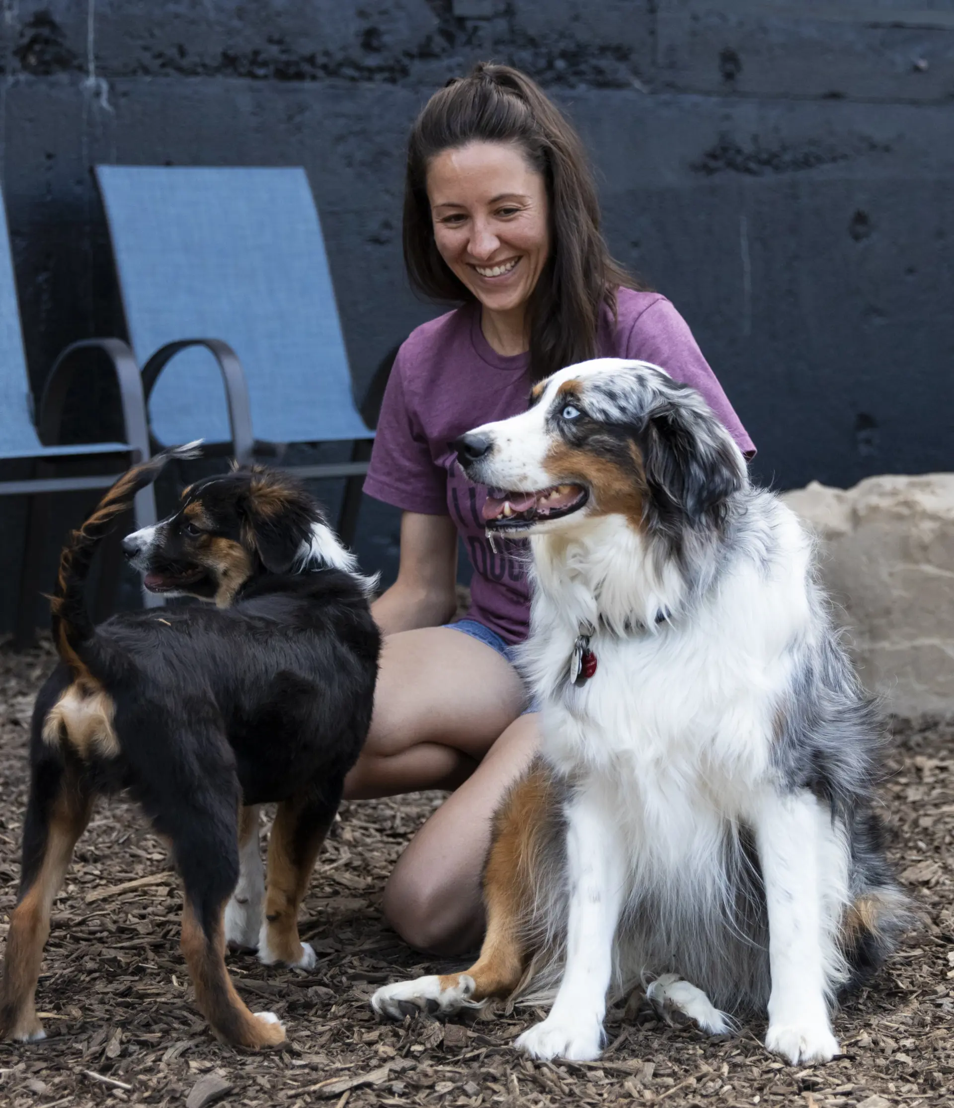 Courtesy Taps and Tails