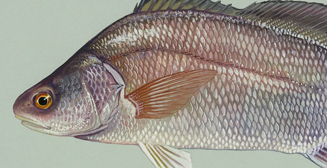 Courtesy Duane Raver, Annie Nickoloff