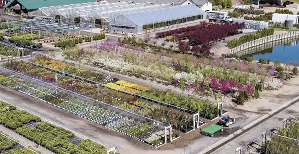 Gun Photography Services LLC