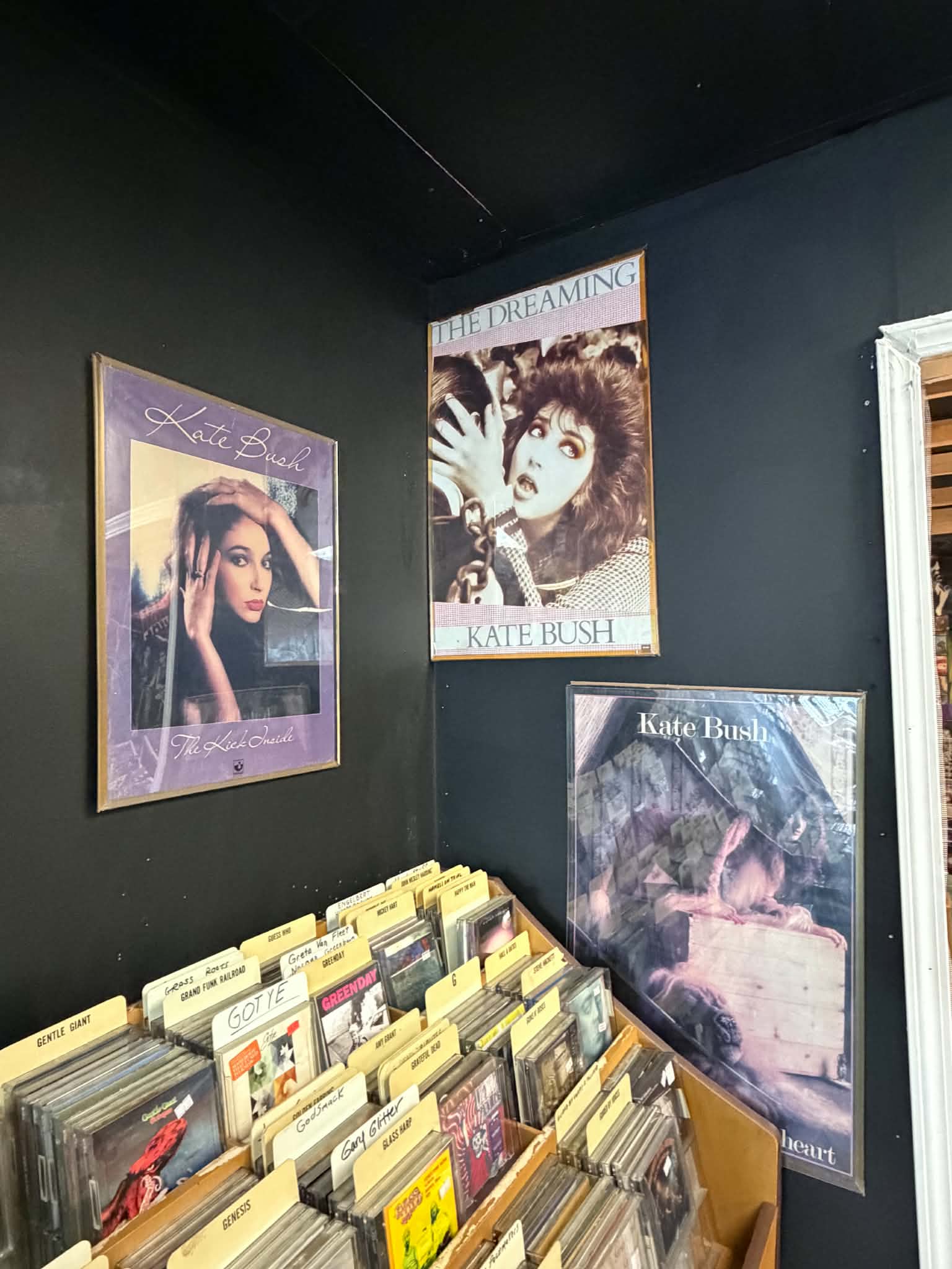 shelf of vinyl records next to Kate Bush posters
