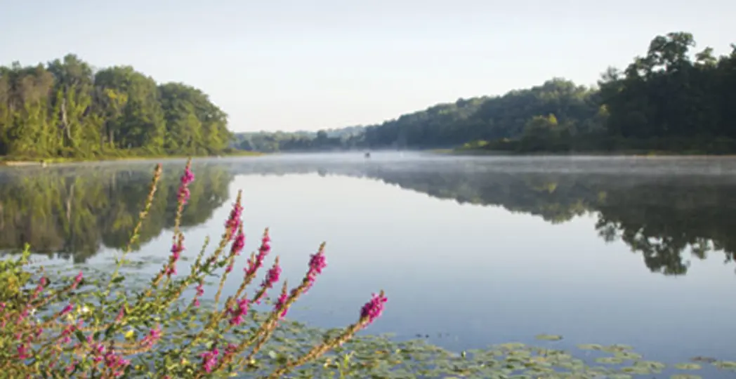 Laura Watilo Blake, Dillon Stewart