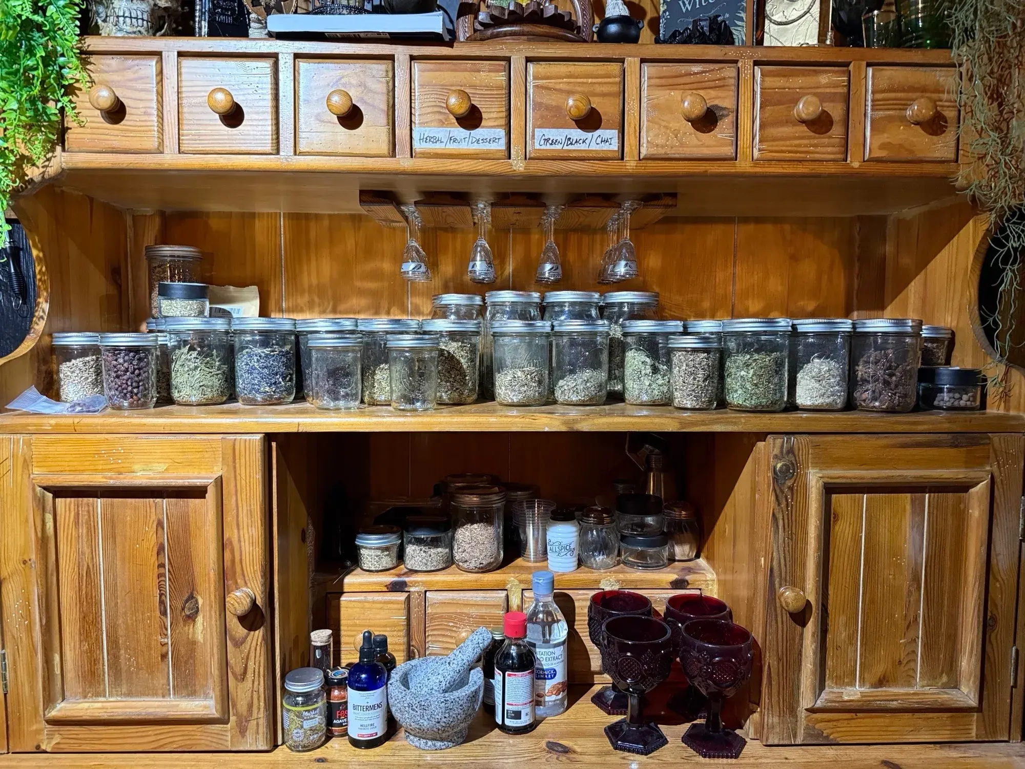 Witch Doctor, a Botanically Themed Cocktail Lounge, Opens in Old Brooklyn in September.      Photographed by Doug Trattner