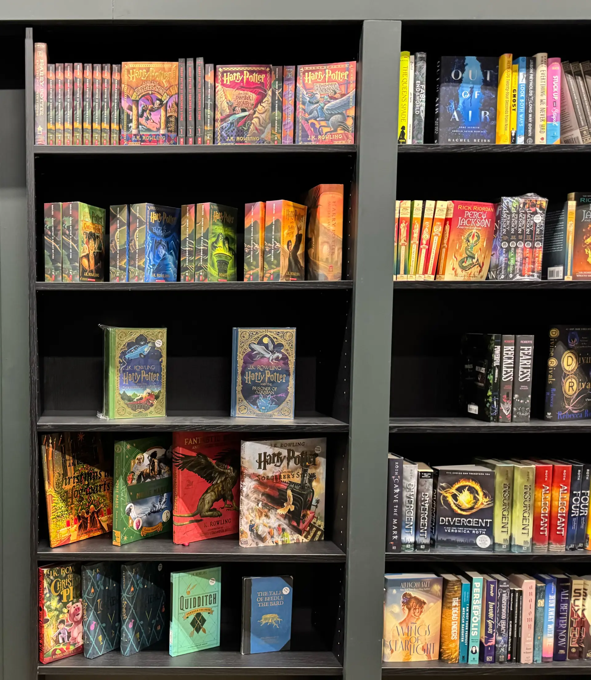 The Viridian Bookshop Bookshelves