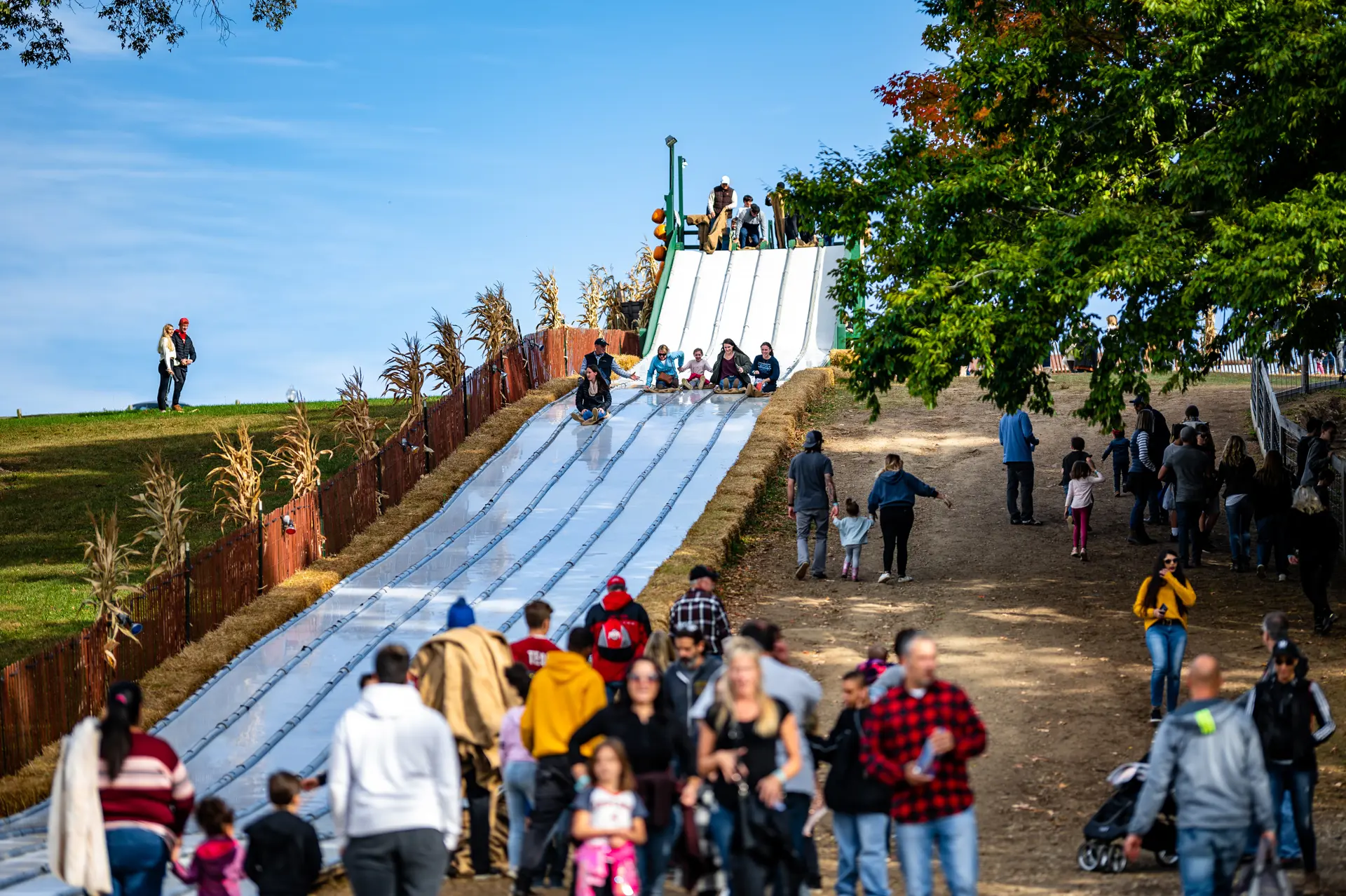 Mapleside Farms slide