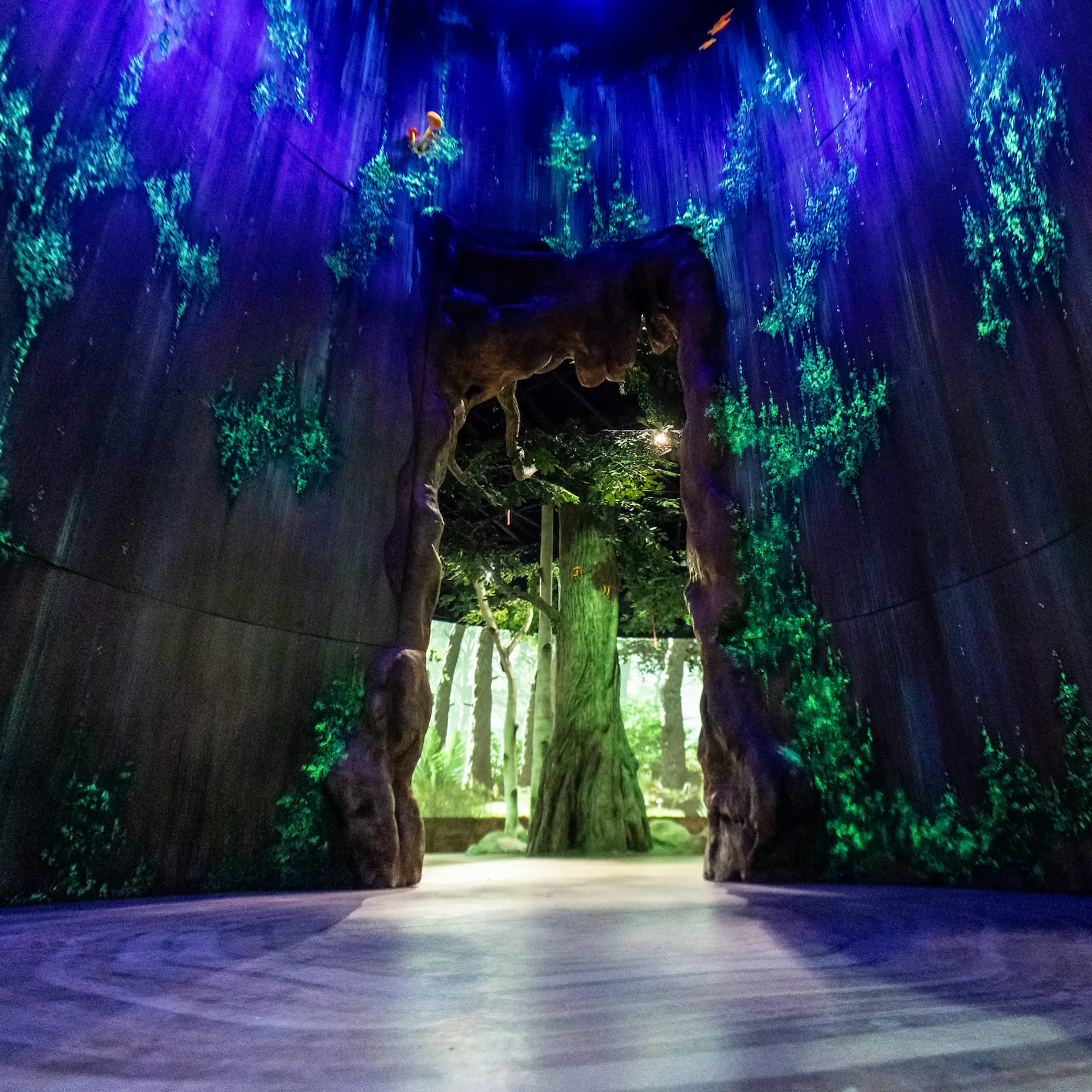 Rainforest entryway in Primate Forest building