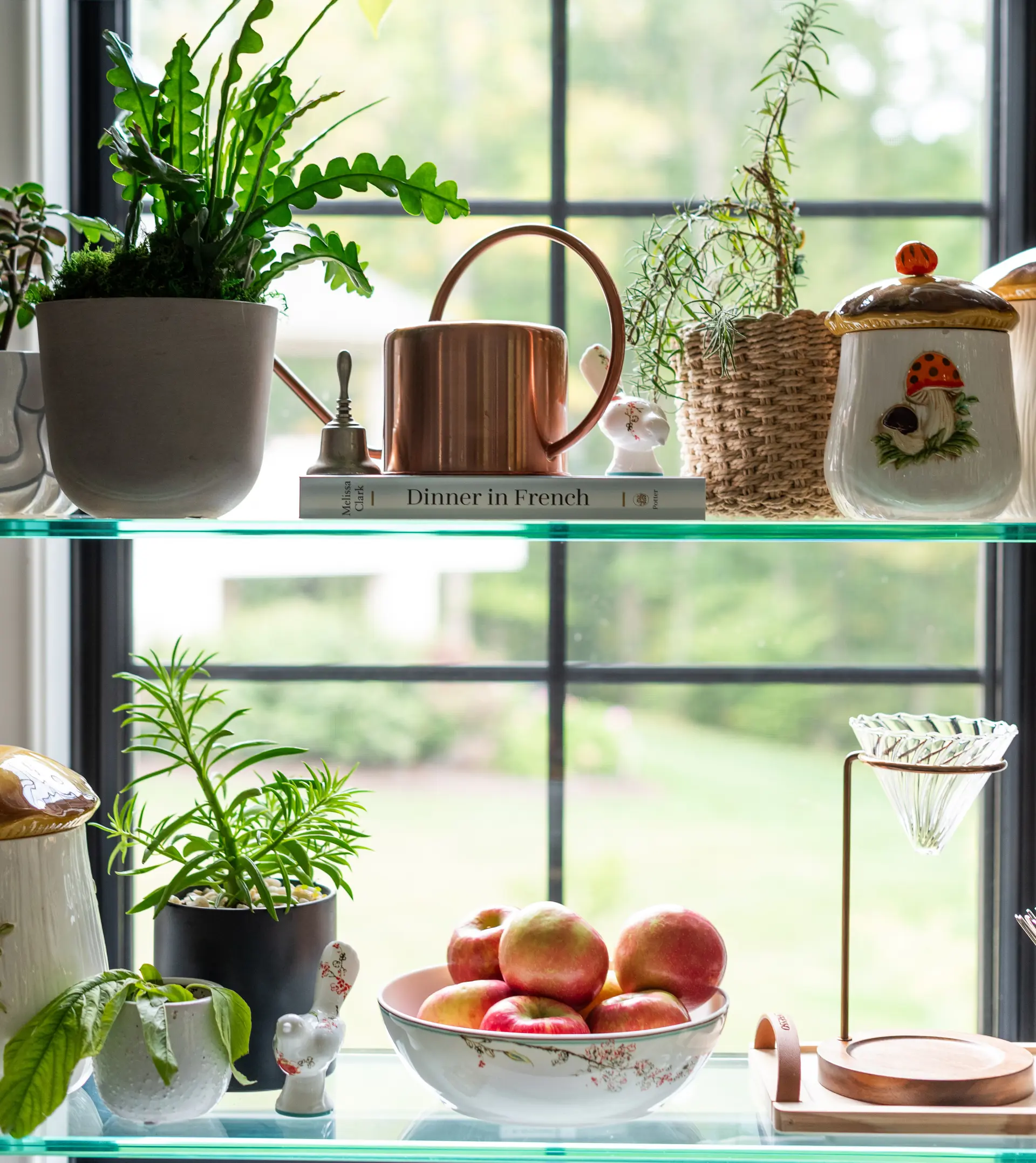 Photographed by Tony Hughes