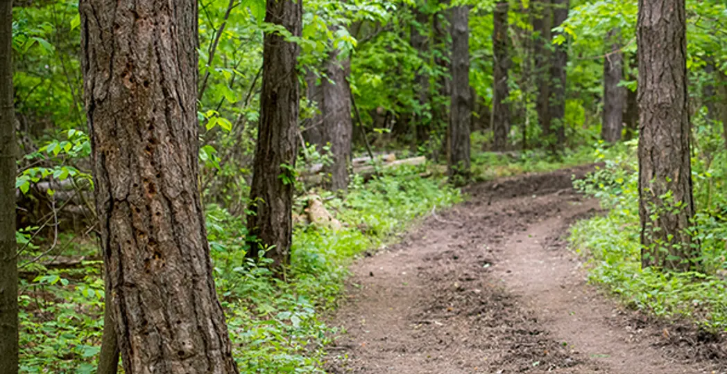 Kyle Lanzer, Cleveland Metroparks