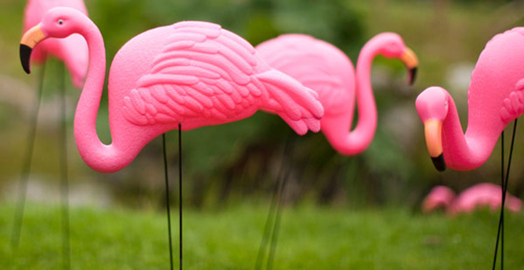 Andrew_Howe, iStock Photo