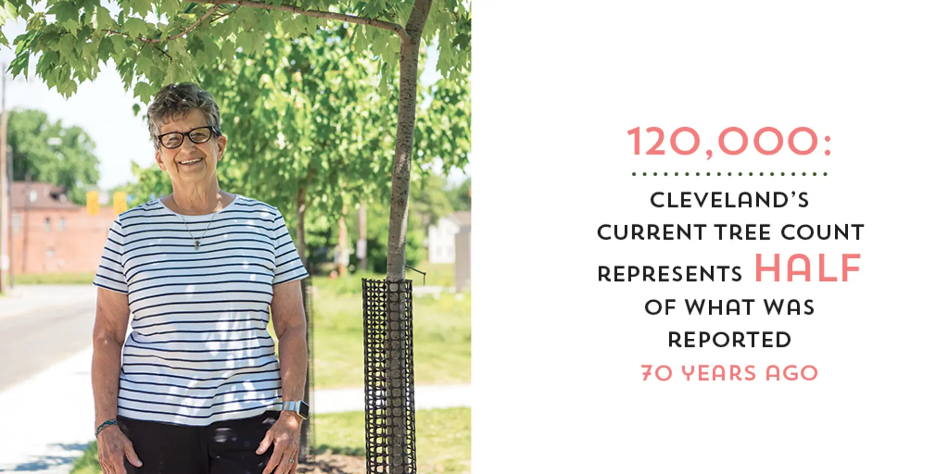 Cleveland’s Plan To Grow Its Tree Canopy