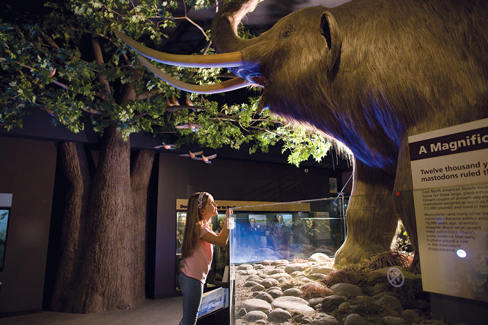 Rochester Museum and Science Center in Rochester, New York (photo courtesy of Rochester Museum and Science Center)