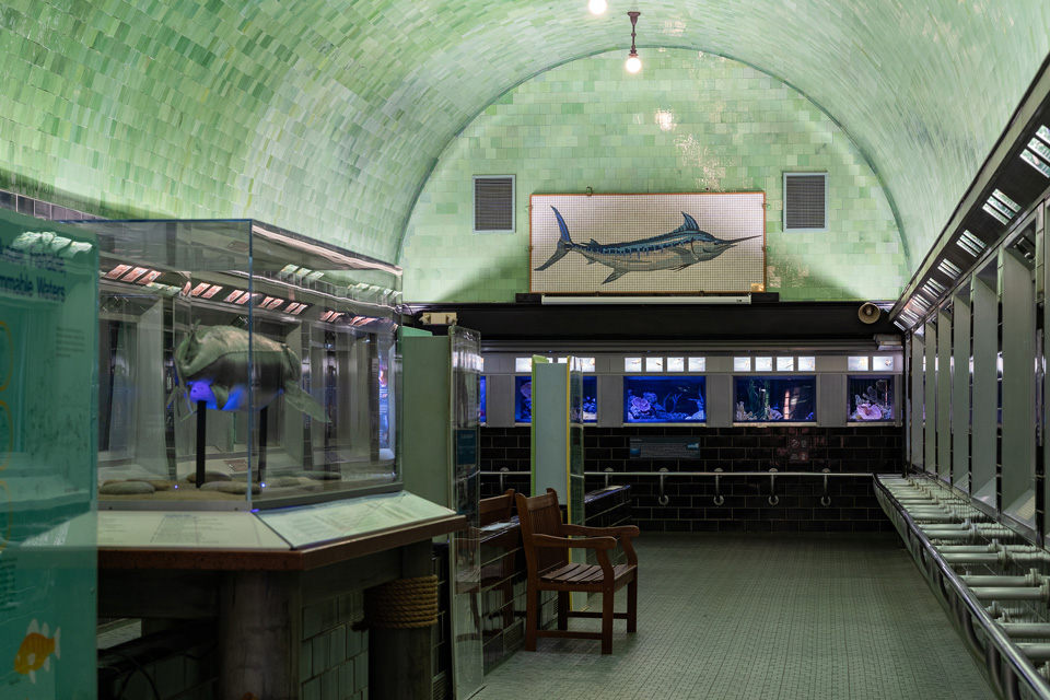 Interior of Belle Isle Aquarium in Detroit, Michigan (photo by Matt Shuert) Interior of Belle Isle Aquarium in Detroit, Michigan (photo by Matt Shuert)